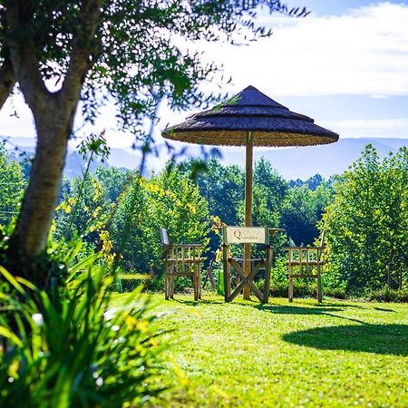 Quinta Da Chouza Agroturismo E Enoturismo Celorico De Basto Kültér fotó
