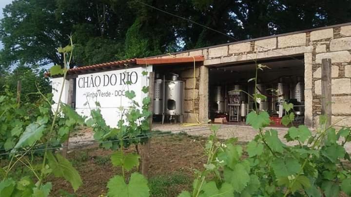 Quinta Da Chouza Agroturismo E Enoturismo Celorico De Basto Kültér fotó