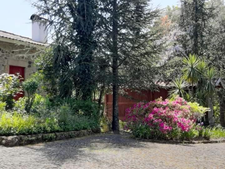 Quinta Da Chouza Agroturismo E Enoturismo Celorico De Basto Kültér fotó