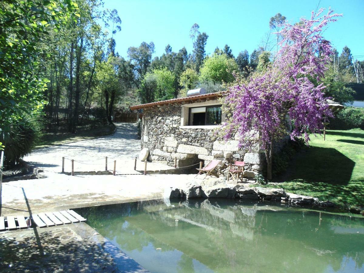 Quinta Da Chouza Agroturismo E Enoturismo Celorico De Basto Kültér fotó