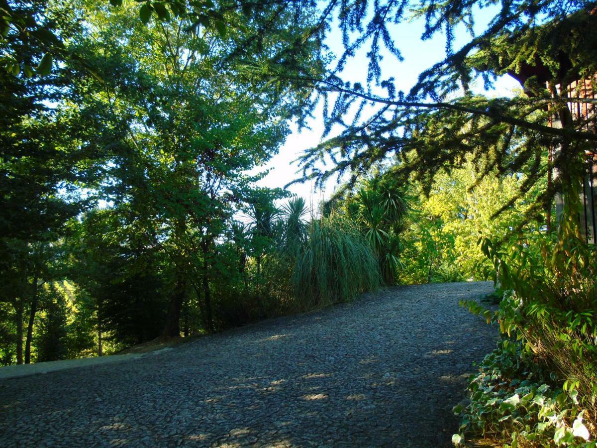 Quinta Da Chouza Agroturismo E Enoturismo Celorico De Basto Kültér fotó