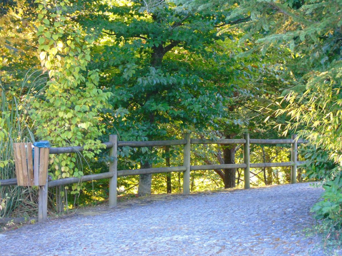 Quinta Da Chouza Agroturismo E Enoturismo Celorico De Basto Kültér fotó